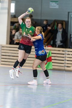 Bild 132 - F HSG Kremperheide/Muensterdorf - HSG Holstein Kiel/Kronshagen : Ergebnis: 31:26